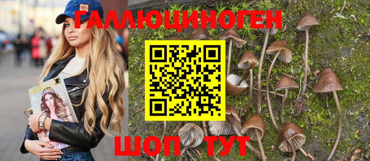 Галлюциногенные грибы Psilocybe  Псилоцибиновые грибы MAGIC MUSHROOMS  Кубинка  Вход с VPN 